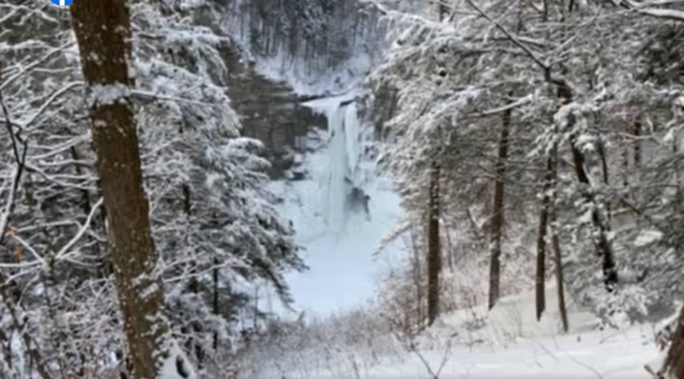 frozen winter scene